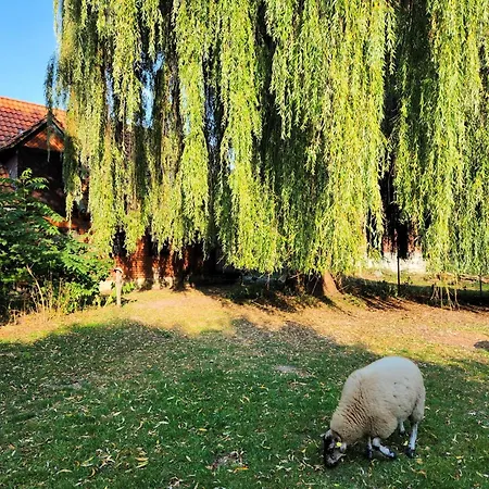 Hof Kuma Appartamento *